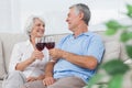 Couple clinking their glasses of red wine Royalty Free Stock Photo