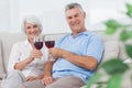 Couple clinking their red wine glasses Royalty Free Stock Photo