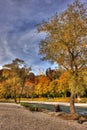 Couple in colourful autumn Royalty Free Stock Photo