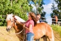 Couple combing horse on farm