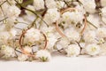 Wedding rings - love story Royalty Free Stock Photo