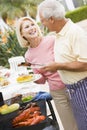 Couple Cooking On A Barbeque Royalty Free Stock Photo