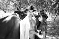 Handsome, beautiful Cowboy and cowgirl couple with horse and saddle on ranch holding and kissing on ranch Royalty Free Stock Photo