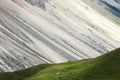 Couple of cows in a sunlit alpine meadow. Minimalist landscape Royalty Free Stock Photo