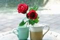 Couple cup of coffee and roses. Relationship concept always grow together. Happy valentines day concept