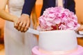 The couple cut the wedding cake, the cake close up, a big white cake Royalty Free Stock Photo