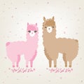 A couple of cute animals llama and alpaca in love Royalty Free Stock Photo