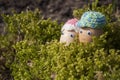 Couple of cute eggs with face for Easter decoration Royalty Free Stock Photo