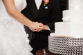 Couple cutting a wedding cake Royalty Free Stock Photo