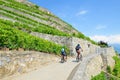 Couple of cyclists on path along beautiful terraced vineyards on the slopes adjacent to Geneva Lake, Switzerland. Famous lake, in