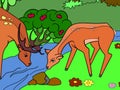 Couple, deer family at a watering hole, in a forest. Color picture. Vector