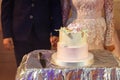 The couple and a delicate tiered cake, wedding Royalty Free Stock Photo