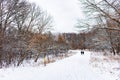 Couple Walking on a Snow Covered Trail in a Midwestern Forest Royalty Free Stock Photo