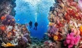 Couple of divers touring tropical reef