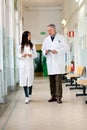 Couple of doctors talking at the hospital Royalty Free Stock Photo