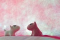 Couple dog on pink background. Royalty Free Stock Photo