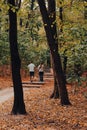 Couple with dog on trail in autumn forest. Family walking on outdoor stairs in autumn park. Fall mood. October landscape.