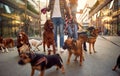 Couple dog walker in the street with dogs Royalty Free Stock Photo