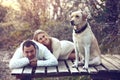 Couple with dog Royalty Free Stock Photo