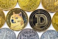 A couple of Dogecoin with several crypto currency coins around