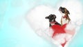 Couple of dogs looking up and moaning above heart Royalty Free Stock Photo