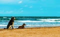 A couple of dogs on the seashore Royalty Free Stock Photo