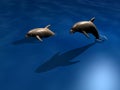 Couple of dolphins