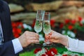 the couple drinking champagne in the park Royalty Free Stock Photo