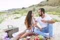 Couple drinking rose wine at picnic on the beach Royalty Free Stock Photo