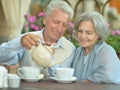 Couple drinking tea Royalty Free Stock Photo