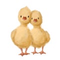 Couple of ducks tender hugs, watercolor style illustration, love clipart