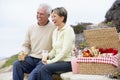 Couple Eating An Al Fresco Meal At The Beach Royalty Free Stock Photo