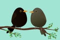 A couple of egg shaped blackbirds