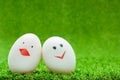 Couple eggs on green background