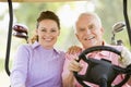 Couple Enjoying A Game Of Golf Royalty Free Stock Photo