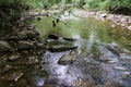 Pedlar River, Amherst County, Virginia, USA - 3