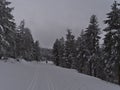 Couple enjoying winter hike through snow-covered forest of trees with frozen branches on path with cross-country ski trail. Royalty Free Stock Photo