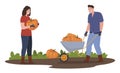 Couple farmers harvesting pumpkins into wheelbarrow vector flat illustration