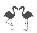 Couple of flamingos silhouettes