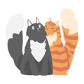 Couple of Fluffy Cats in Love Cuddling Vector Illustration