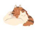 Couple of Fluffy Cats in Love Cuddling Vector Illustration