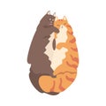 Couple of Fluffy Cats in Love Cuddling Vector Illustration