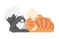 Couple of Fluffy Cats in Love Cuddling Vector Illustration