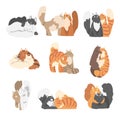 Couple of Fluffy Cats in Love Fawning and Cuddling Vector Set