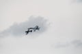 Couple of flying aircraft against a cloudy sky during an airshow