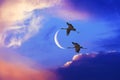 Couple of flying cranes holding a crescent moon