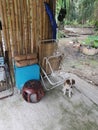 Couple of folded old lazy chair at the wooden shed. Royalty Free Stock Photo