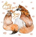 Couple of foxes in love on white background with hearts and the sign `Happy Valentine`s day`