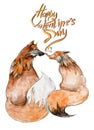 Couple of foxes in love on white background with the sign `Happy Valentine`s day`.