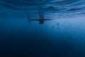 Couple freedive along the anchor chain Royalty Free Stock Photo